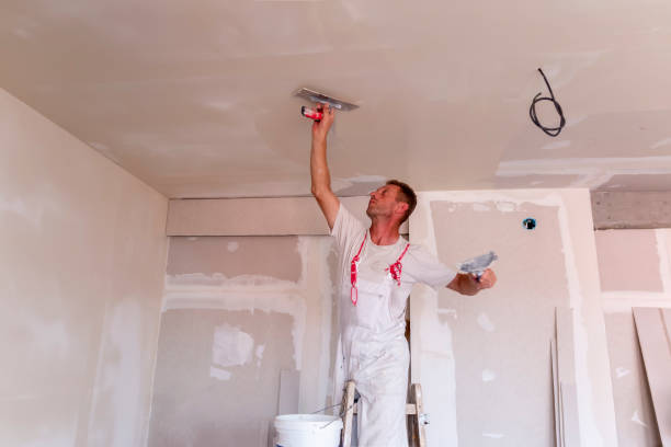 Best Fire-Damaged Drywall Repair  in USA